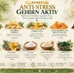 Paket für Gehirn und Nervensystem